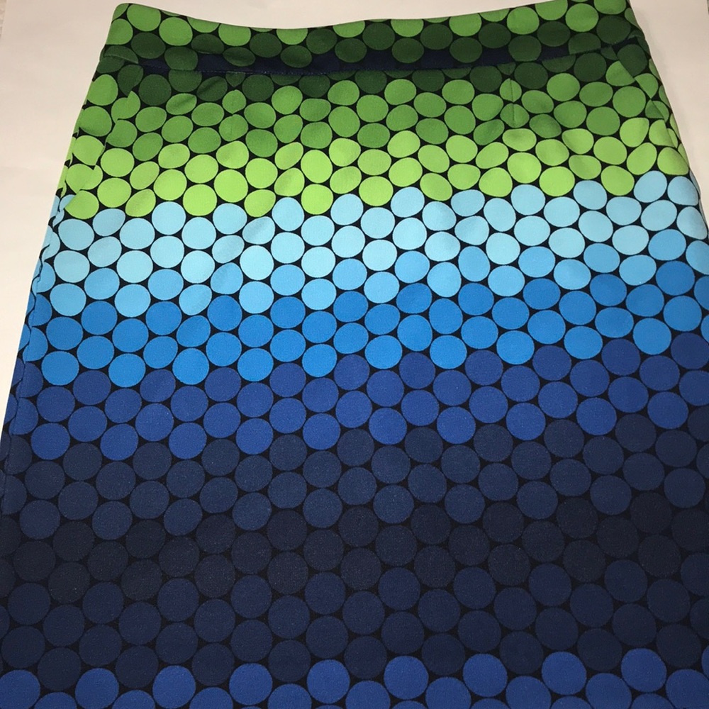 Ladies Skirt